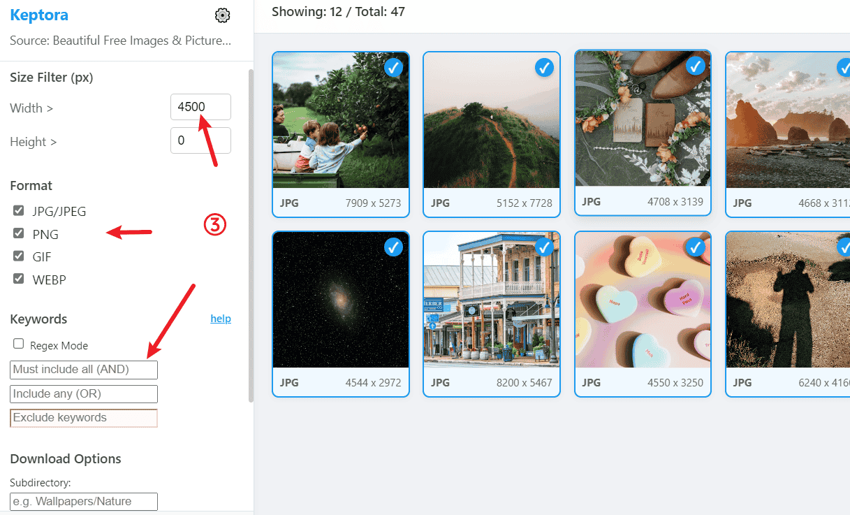 Filtering Images on keptora image downloader studio